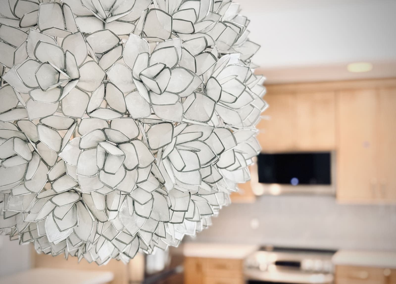 Beach Renovation — Elysian Homes project photo 19