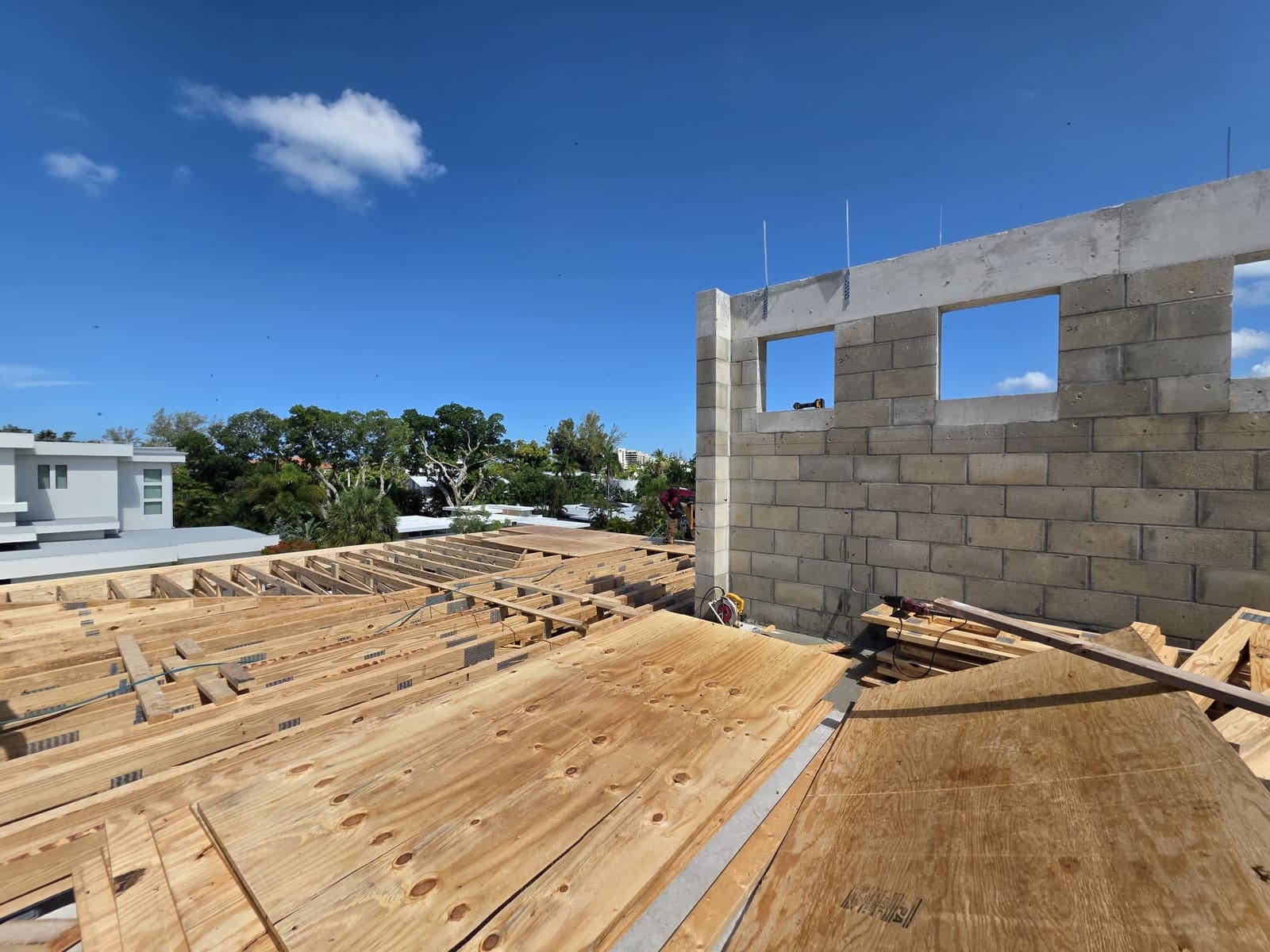 Modern on Lido — Elysian Homes project photo 10